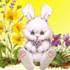 /album/avatares-en-movimiento/avatar-conejo-12-gif/